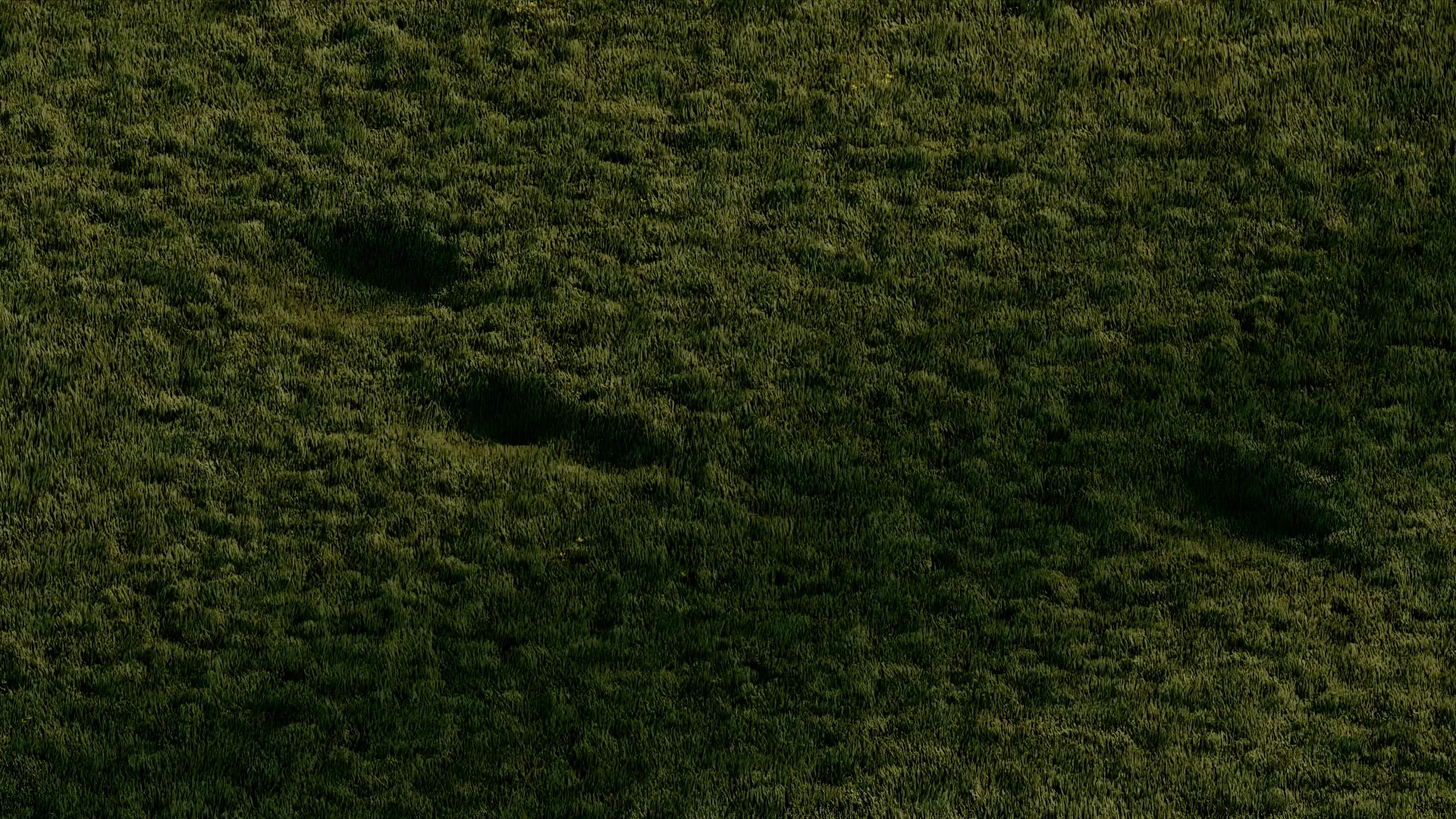 invisible athlete running on field 3d